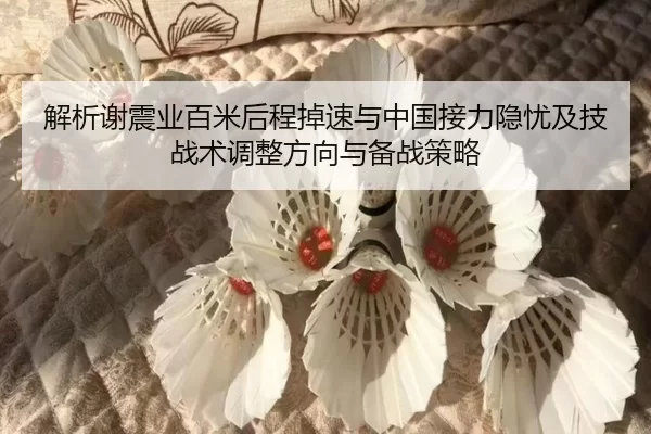 jie-xi-xie-zhen-ye-bai-mi-hou-cheng-diao-su-yu-zhong-guo-jie-li-yin-you-ji-ji-zhan-shu-tiao-zheng-fang-xiang-yu-bei-2-209.jpg