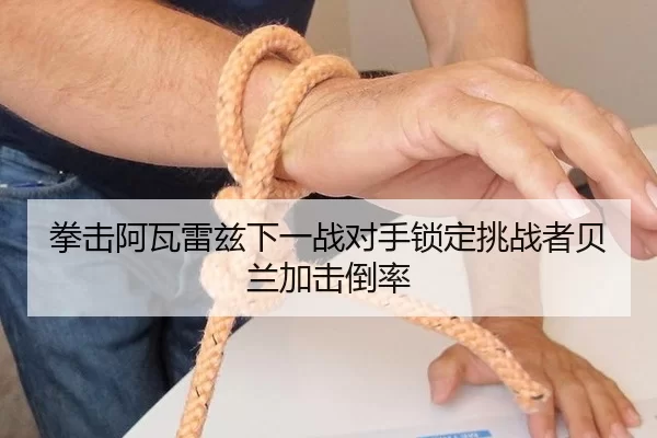 拳击阿瓦雷兹下一战对手锁定挑战者贝兰加击倒率